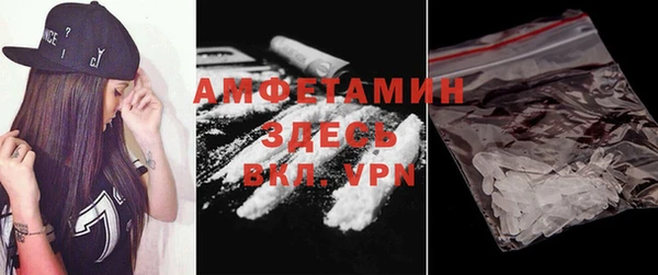 крисы Алексин