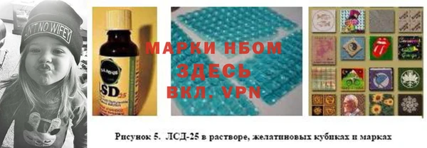 крисы Алексин