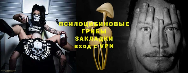 крисы Алексин
