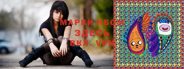 индика Алексеевка