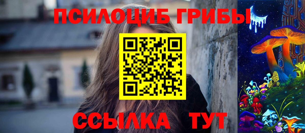 Галлюциногенные грибы Psilocybe Сухой Лог