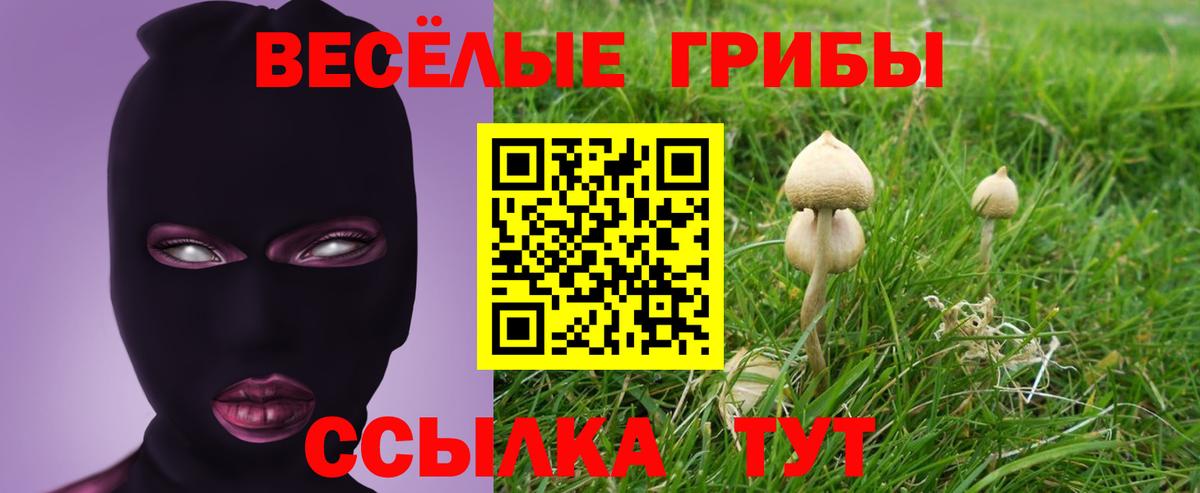 Галлюциногенные грибы Psilocybe  Псилоцибиновые грибы Cubensis  Сухой Лог  Вход с VPN 